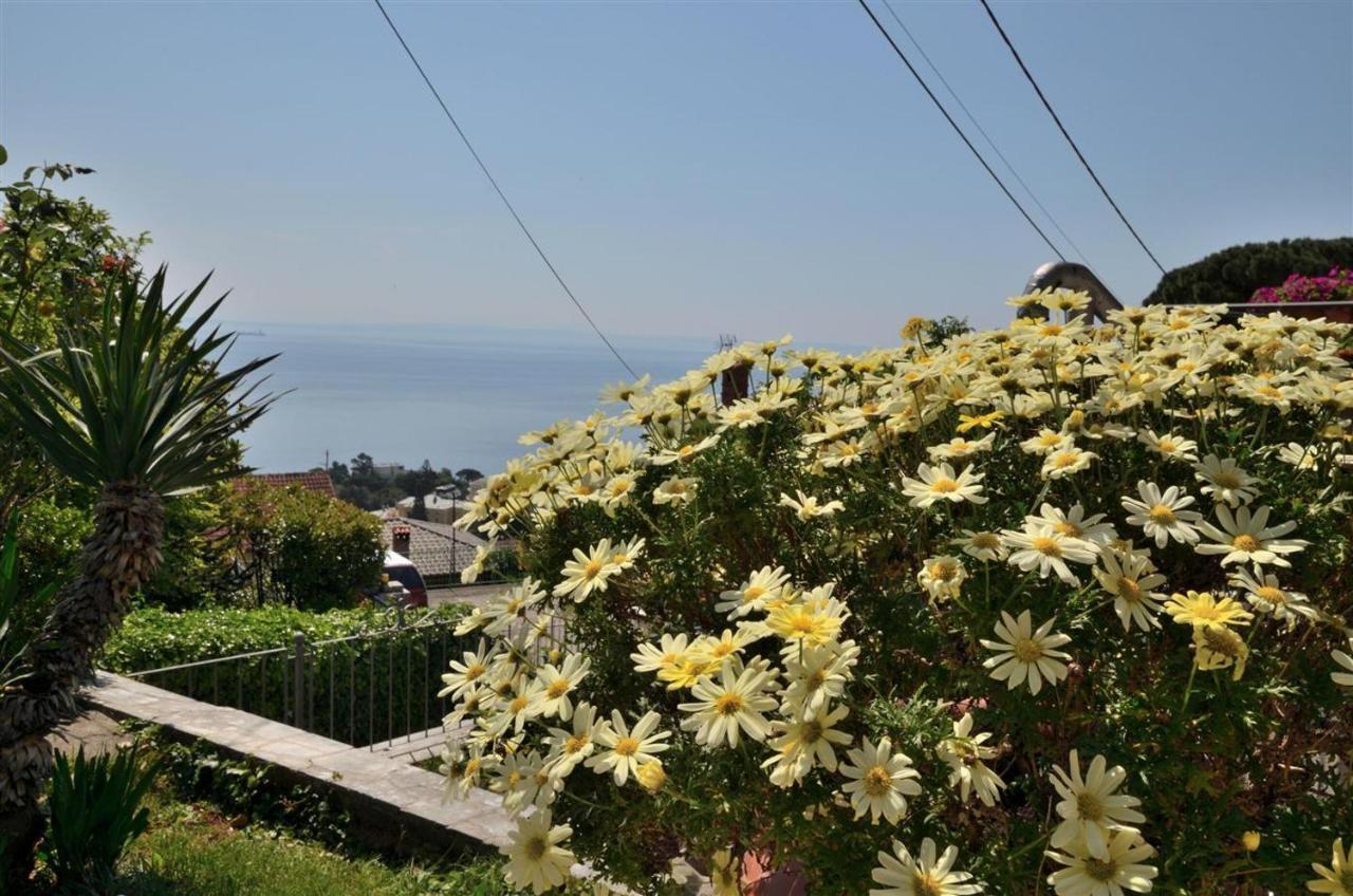 Apartment Relax Opatija Luaran gambar