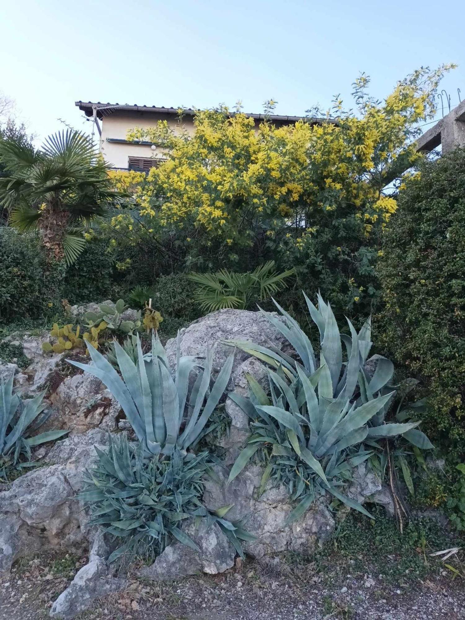 Apartment Relax Opatija Luaran gambar